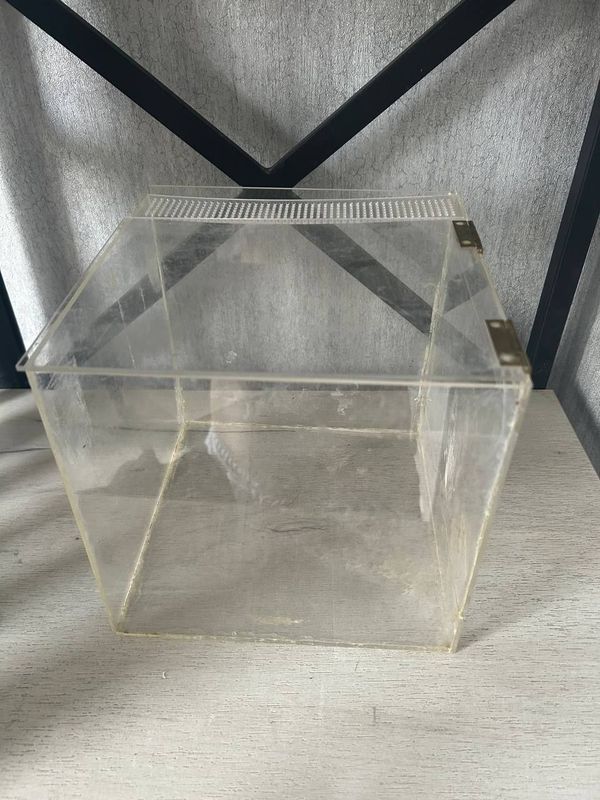 Террариум из акрила прозрачный 20×20×20 Террариум из акрила прозрачный 20×20×20