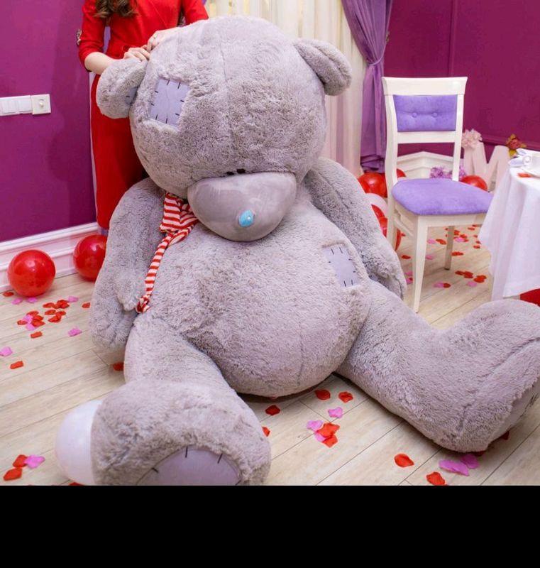 Big Teddy. Big Teddy.