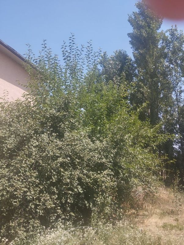 Земля под строительство дома Земля под строительство дома