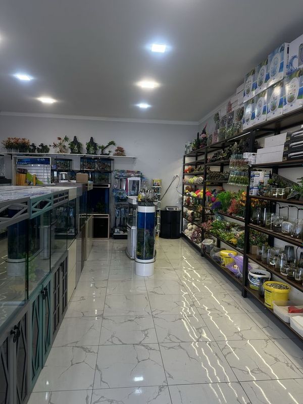 Akvarium Do’koni Akvarium Do’koni