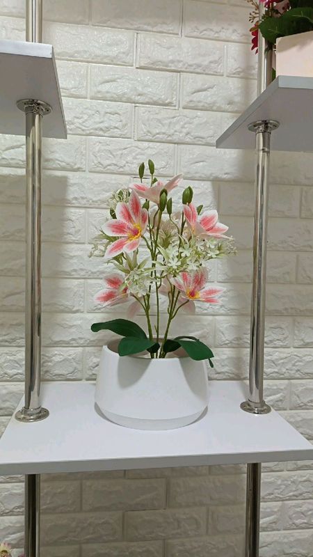 suni gullar