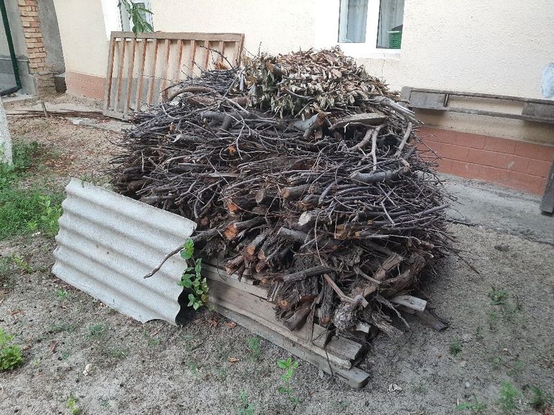 Утинлар сотилади Утинлар сотилади