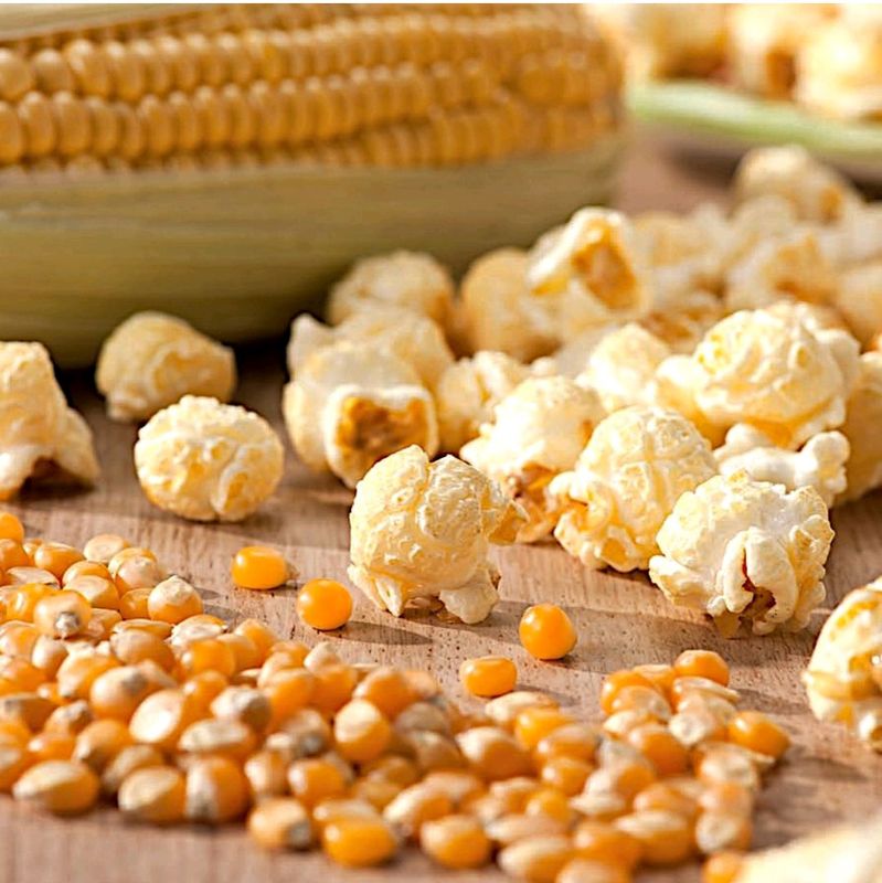 Зерно Американ попкорн Amerikan popcorn donlari Зерно Американ попкорн Amerikan popcorn donlari