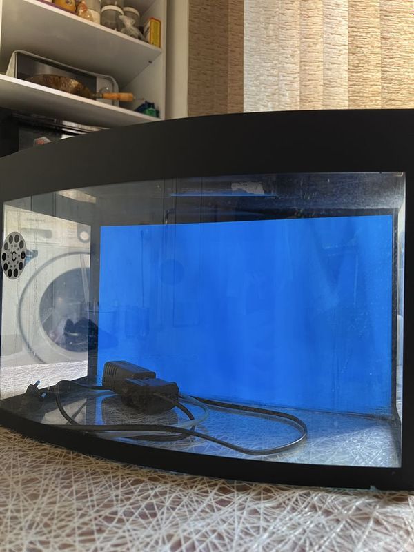 Akvarium but butun xich qati sinmagan Akvarium but butun xich qati sinmagan