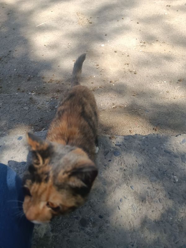 Пшик огил бола . 2 ойлик Пшик огил бола . 2 ойлик