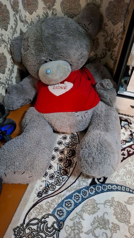 teddy ayiq teddy ayiq