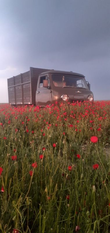 Uvazik 3303 bartavoy Uvazik 3303 bartavoy