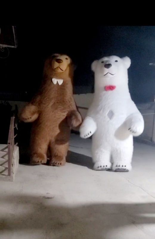 Ayiq Xizmati Ayiqlar Animator Ayiqchalar Ayiqcha Ayiq Xizmati Ayiqlar Animator Ayiqchalar Ayiqcha