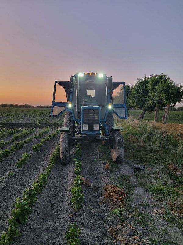 Traktor mtz 80.1 Traktor mtz 80.1