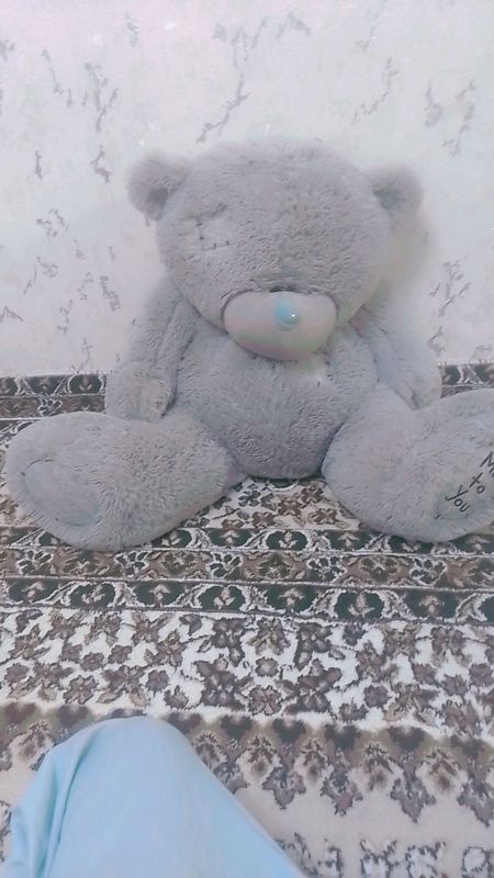 teddy bear