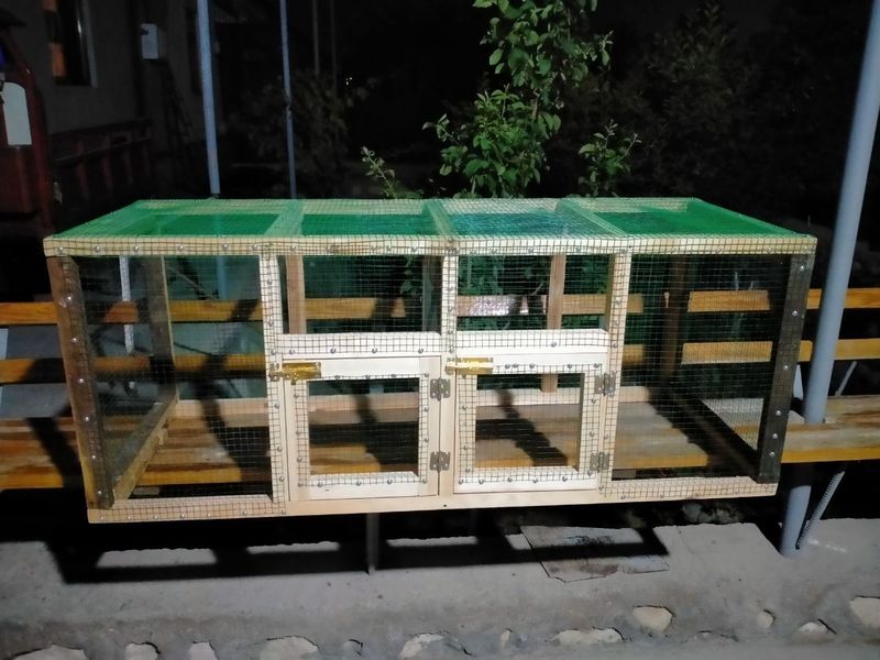 Tovuq quyon va kanarekalar uchun katak Tovuq quyon va kanarekalar uchun katak
