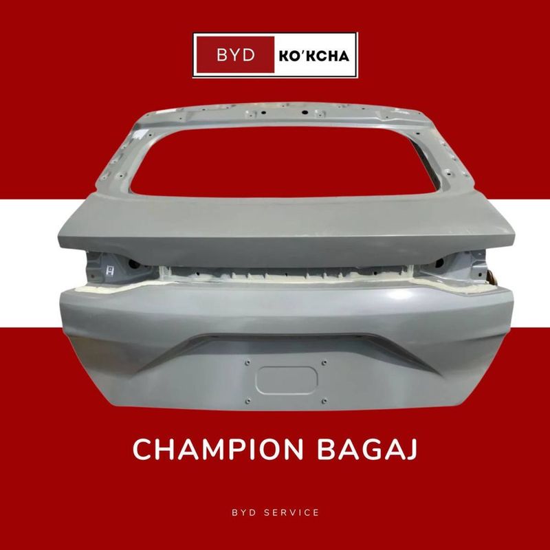 Оригинальный багажник для BYD Champion