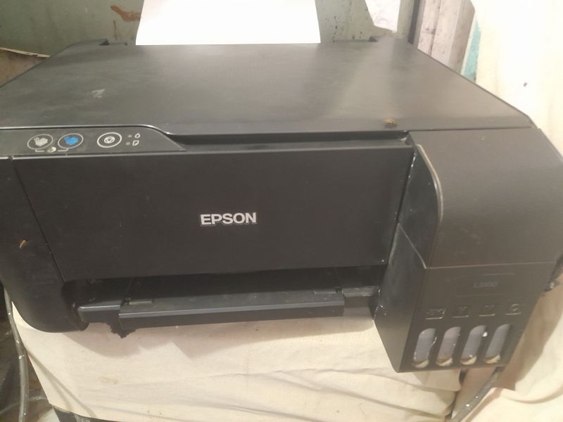 Epson 3100 ranliy