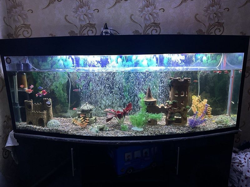 Avarium podstafka va hamma detallari bn Avarium podstafka va hamma detallari bn