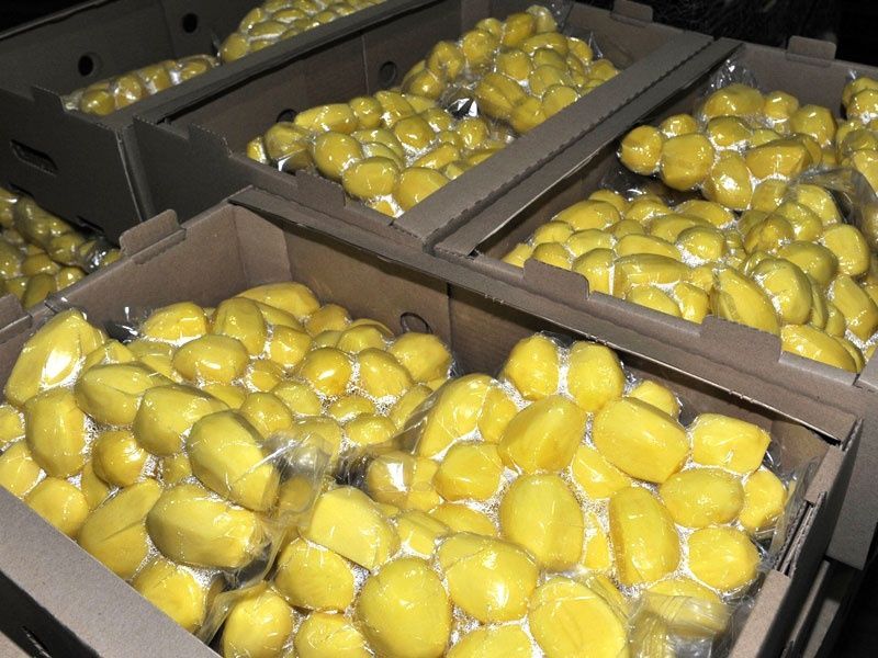 Отчищиные вакумированные овощи под заказ Отчищиные вакумированные овощи под заказ