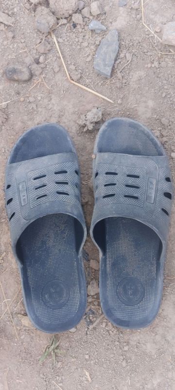 tapchka