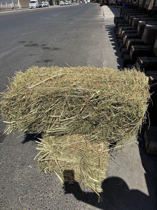 Беда пресс 42000