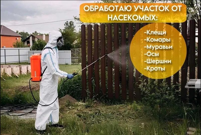 Dezinfeksiya tarakan, klapa, klop | Дезинфекция клопо таракан | DezUz Dezinfeksiya tarakan, klapa, klop | Дезинфекция клопо таракан | DezUz