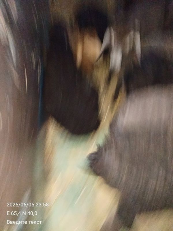 Duragay barralar Duragay barralar