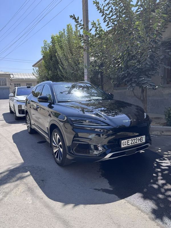 BYD chipiyon 520 tali 2023 BYD chipiyon 520 tali 2023
