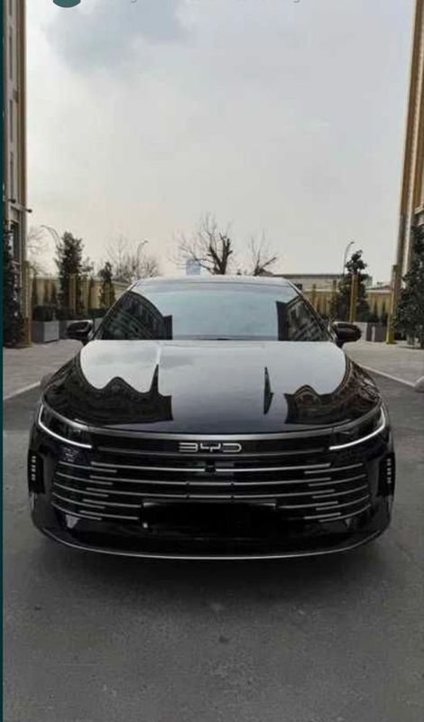 Byd chazor 2 позции Byd chazor 2 позции