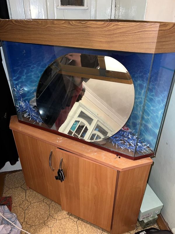 Akvarium holati yaxshi oynalari sinmagan Akvarium holati yaxshi oynalari sinmagan