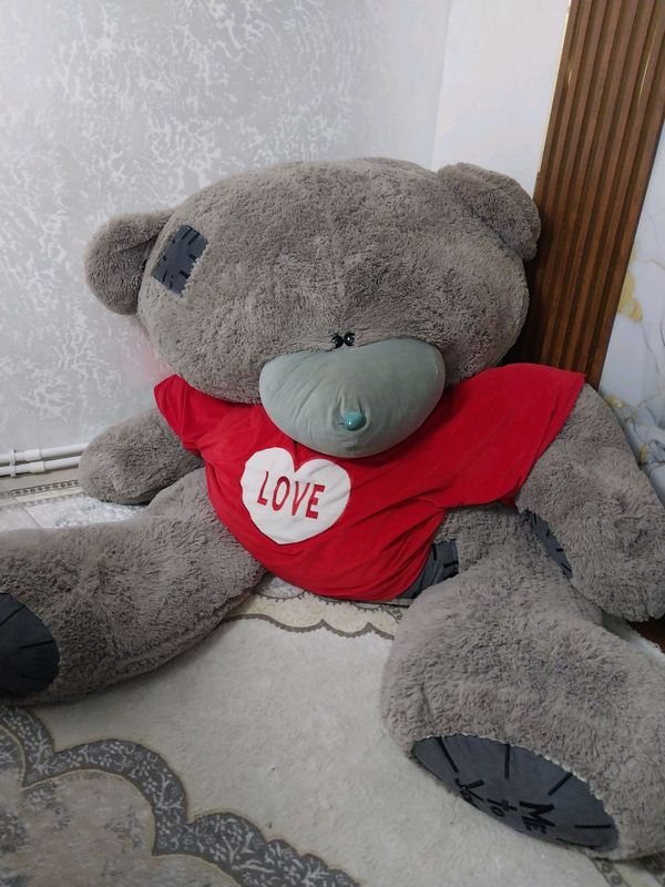 Teddy N1 Teddy N1