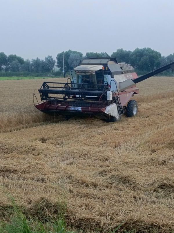 Vektor 410 kanbayn sotladi Vektor 410 kanbayn sotladi
