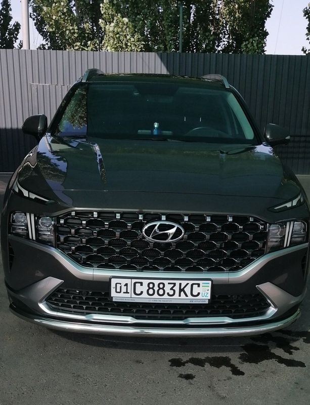 Hyundai SantaFe 2021-22