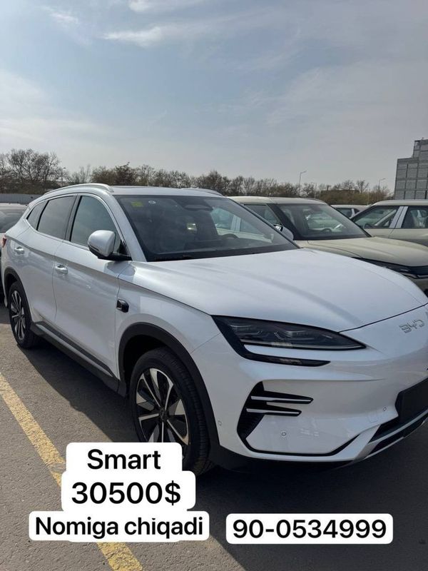 Byd Chempion smart Byd Chempion smart