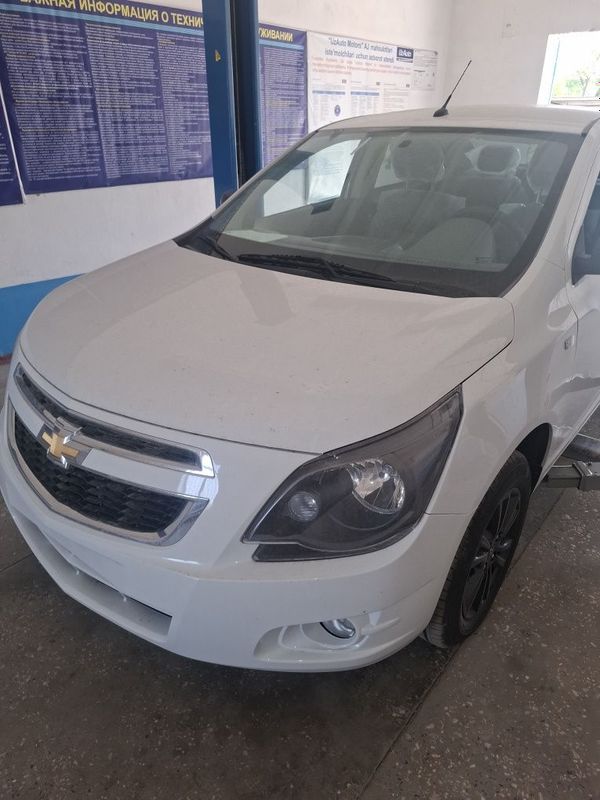 Cobalt midnight 2025 Cobalt midnight 2025