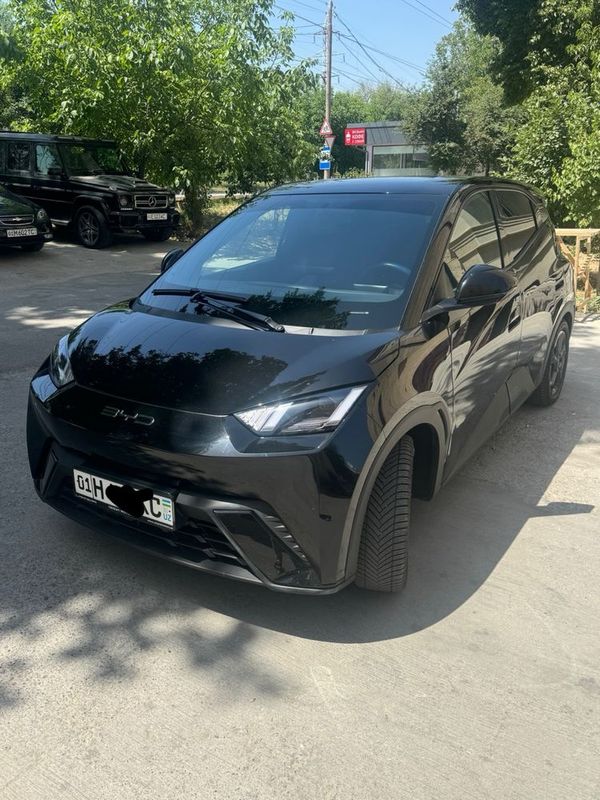 BYD Sigul eng Full 405 Tali BYD Sigul eng Full 405 Tali