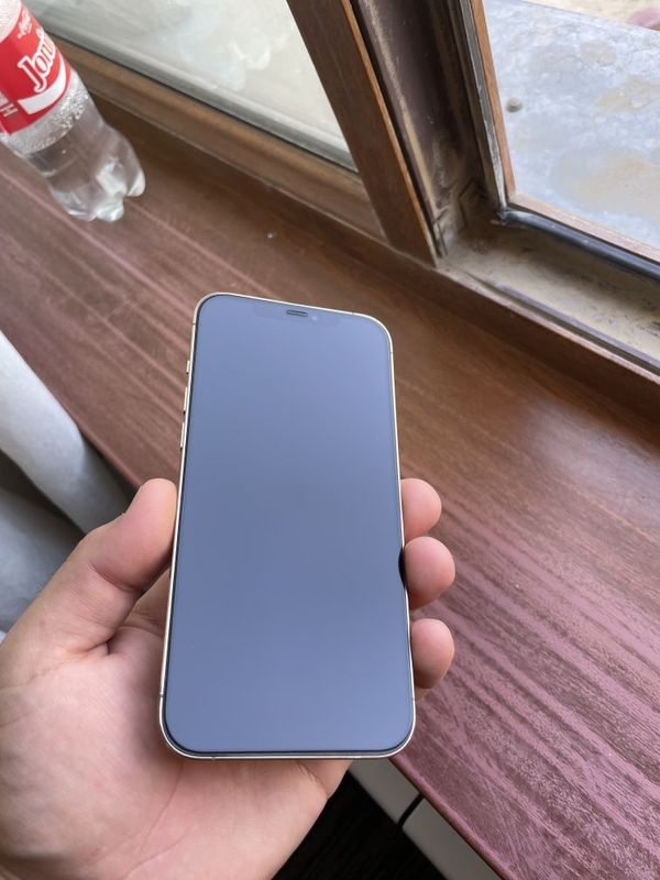 Iphone 12 Pro Max Iphone 12 Pro Max