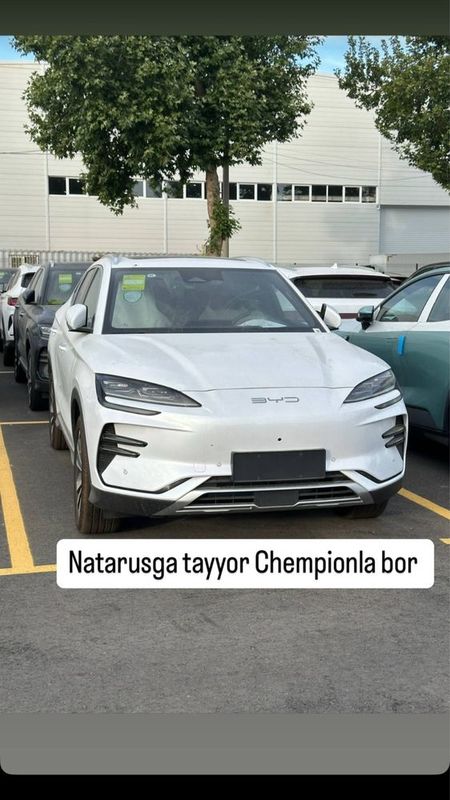 BYD chenpion 2025 natarus BYD chenpion 2025 natarus