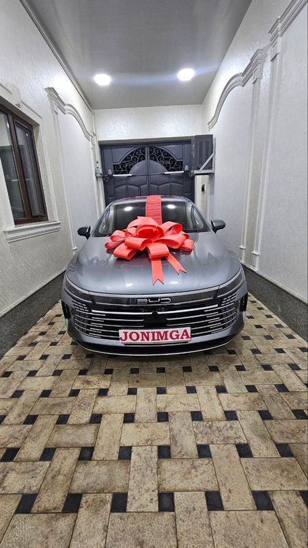 автобантики