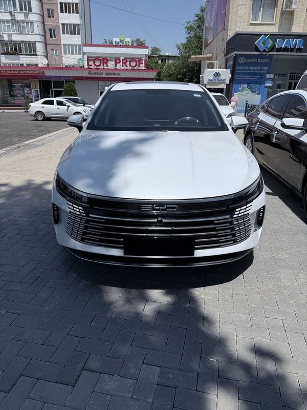 Byd chazor 2024 Byd chazor 2024