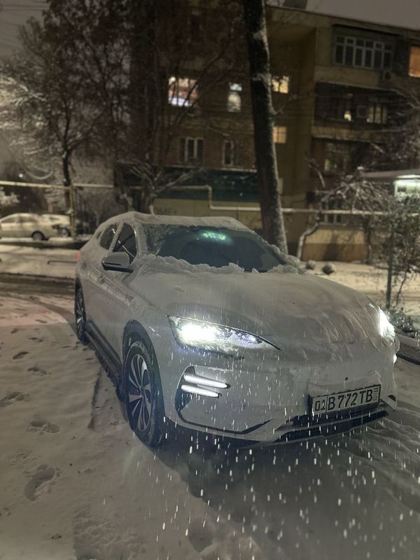 Byd champion 2024 model 605 km