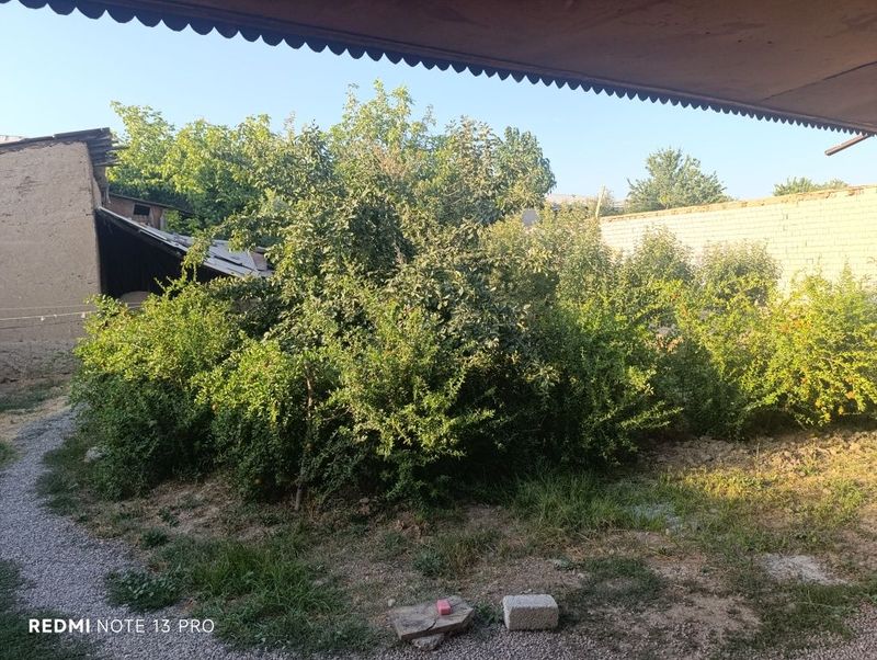 8 sotixli xovli uyi 8 sotixli xovli uyi