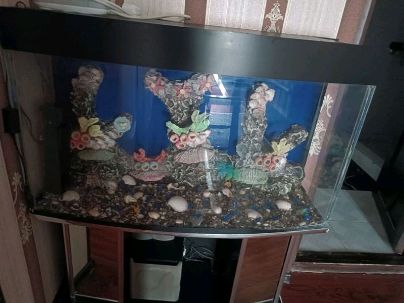 Akvarium sotiladi holati yaxshi hama filtrlari bor