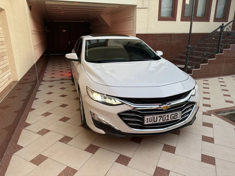 Malibu Premier - Pearl White Malibu Premier - Pearl White