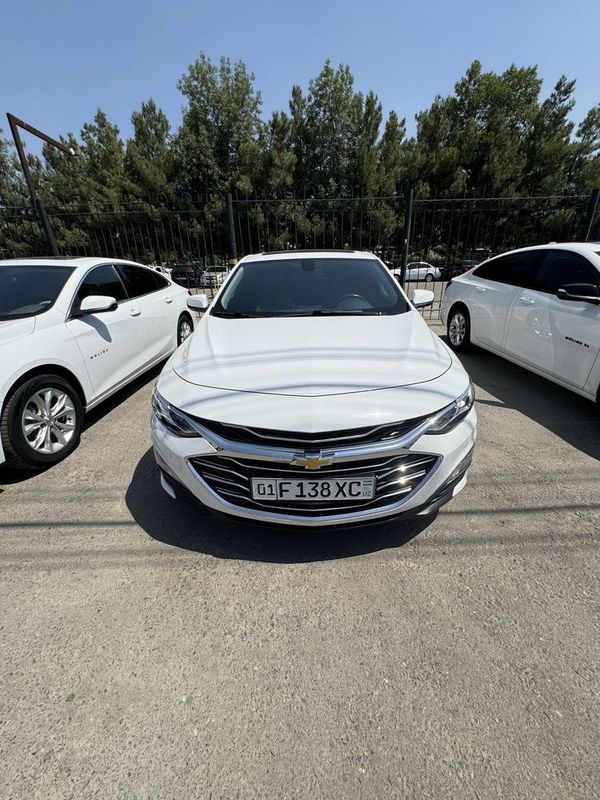Malibu Primier 2020 год Malibu Primier 2020 год
