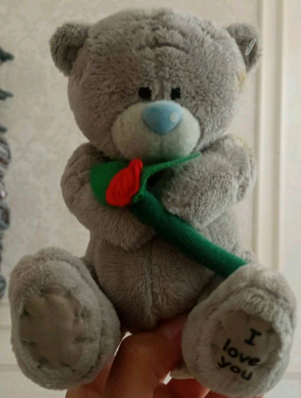 teddy bear teddy bear
