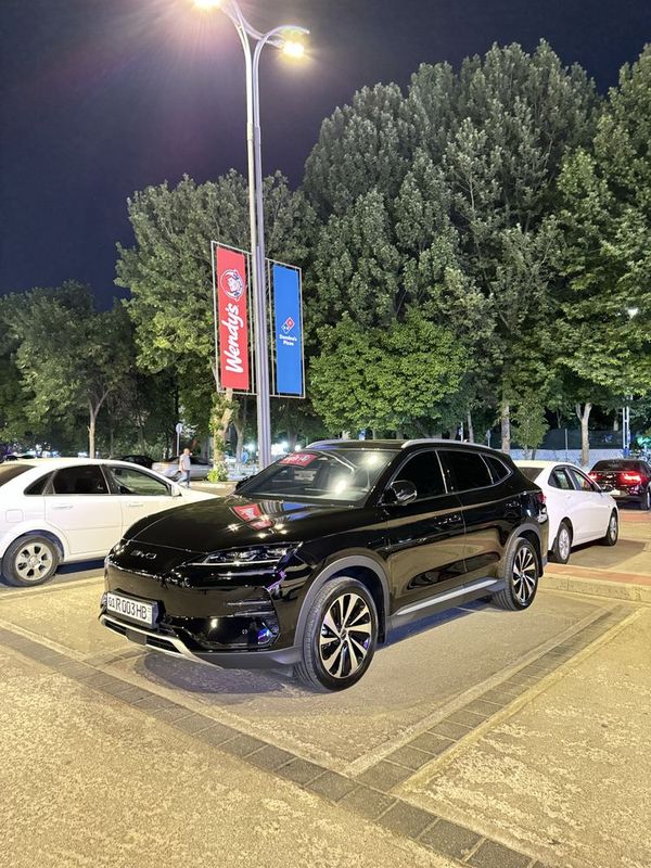 Byd champion kraska toza Byd champion kraska toza