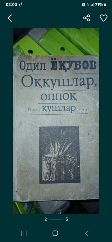 Оккушлар оппок кушлар Oq qushlar oppoq qushlar Оккушлар оппок кушлар Oq qushlar oppoq qushlar