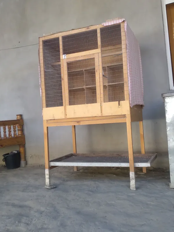 клетка для голубей клетка для голубей