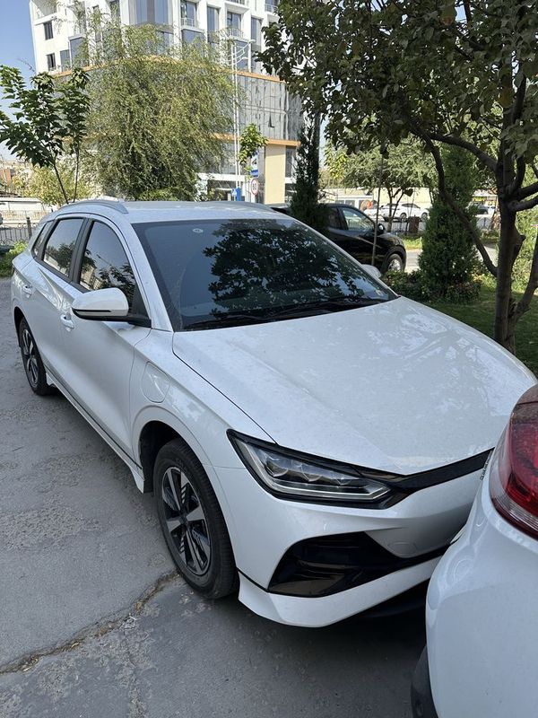 Byd e 2 luxsury 405