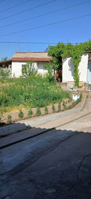 продается участок в нижнем комсомольский. продается участок в нижнем комсомольский.
