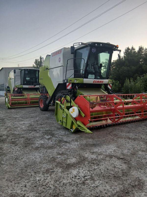 CLASS DOMINATOR 260 4WD kombayn bor sholi òrish uchun