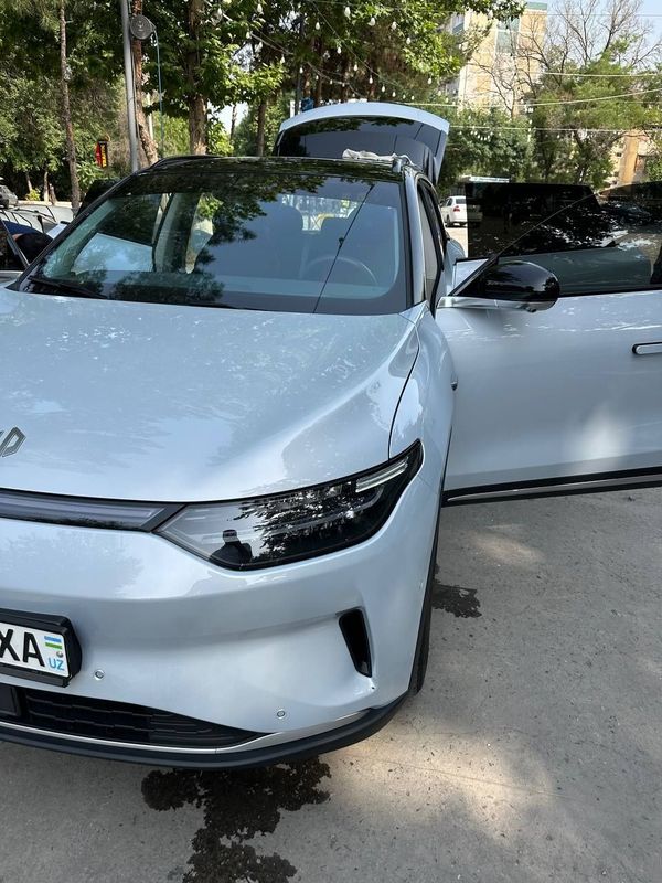 Leapmotor C11 EV smart 2023 Leapmotor C11 EV smart 2023