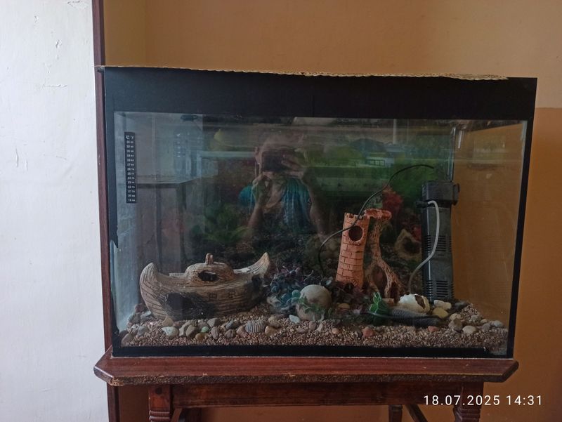 akvarium